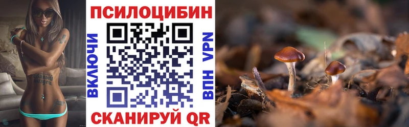 Галлюциногенные грибы ЛСД  Ершов 
