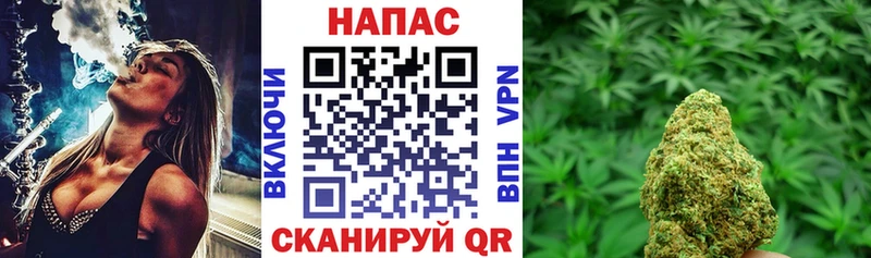 Шишки марихуана White Widow  купить  цена  Ершов 